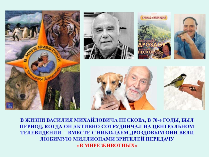 Жизни василия. Песков Василий Михайлович презентация. Василий Песков презентация. Василий Песков краткая биография. Василий Песков биография кратко.