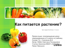 ПРЕЗЕНТАЦИЯ К УРОКУ ПРИРОДОВЕДЕНИЯ В 5 КЛАССЕ КАК ПИТАЕТСЯ РАСТЕНИЕ?