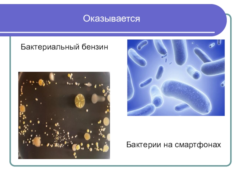 бензин фильм 2001. микроб и бензин. мишель гондри 2015. фильм микроб и бензин. микроб и бензин / microbe et gasoil / 2015.