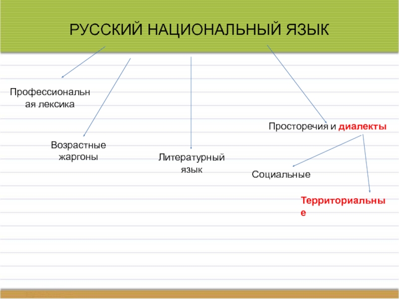 Русский национальный язык. Литературный язык и просторечие. Социальные и литературные просторечия. Профессиональная лексика жаргоны и диалектизмы.