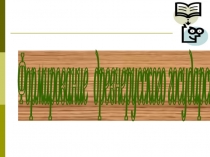 Презентация урока по истории на тему Образование государства у славян (6 класс)