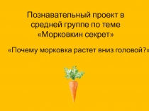 Познавательный проект в средней группе по теме Морковкин секрет