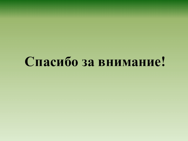 Спасибо за внимание мвд для презентации