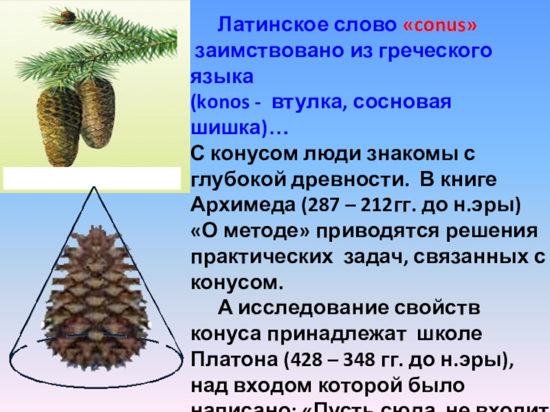 Презентация по теме решение задач по теме конус 11 класс