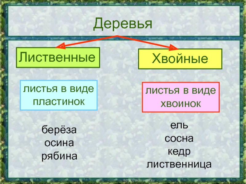 Какие бывают растения проект 2 класс