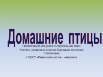 Презентация по окружающему миру на тему: Домашние птицы