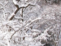 Презентация для старшей группы ДОУ Елочная игрушка