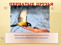 Презентация:  Наши пернатые друзья
