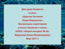 Зелёные, бурые, красные водоросли, значение водорослей в жизни человека.