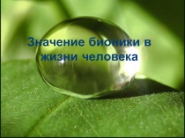 Значение бионики в жизни человека.