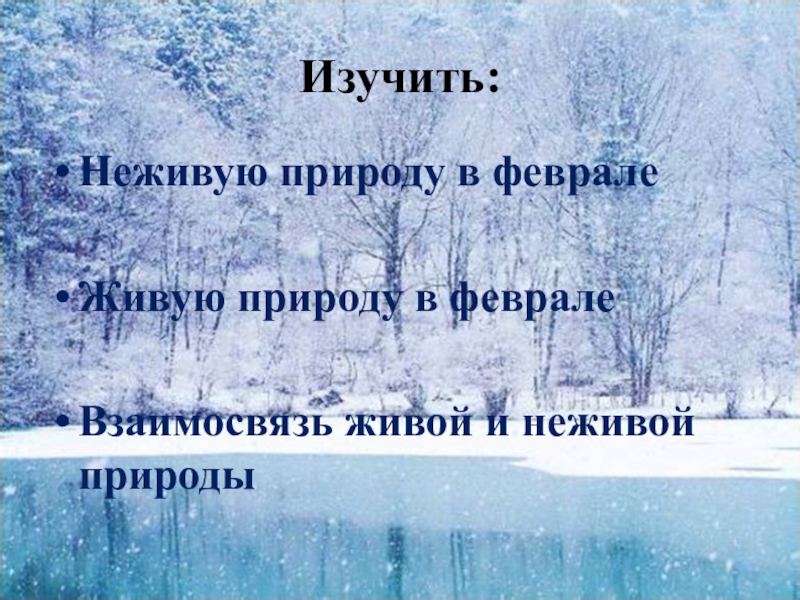 Мир февраль. Февраль месяц метелей и вьюг. Окружающий мир февраль месяц метелей и вьюг. Неживая природа в феврале. Живая природа в феврале.