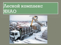 Презентация по географии Лесной комплекс ЯНАО (8 класс)