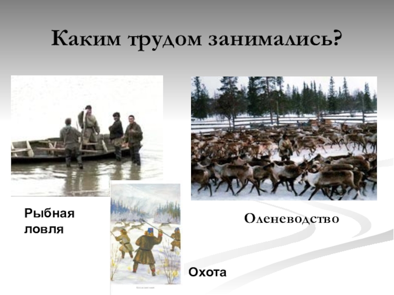 Оленеводство и рыболовство какой народ. Оленеводство и рыболовство занимаются. Саамы охота рыболовство. Саамы Рыбная ловля. Какие народы занимаются рыболовством.