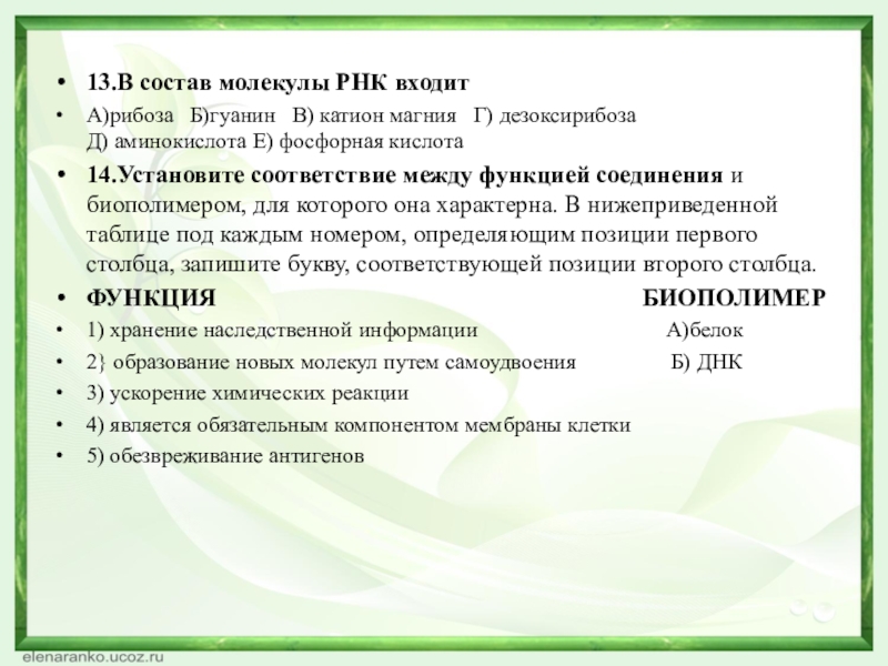 13.В состав молекулы РНК входит А)рибоза  Б)гуанин  В) катион магния  Г) дезоксирибоза