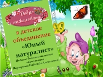 Презентация Добро пожаловать в детское объединение