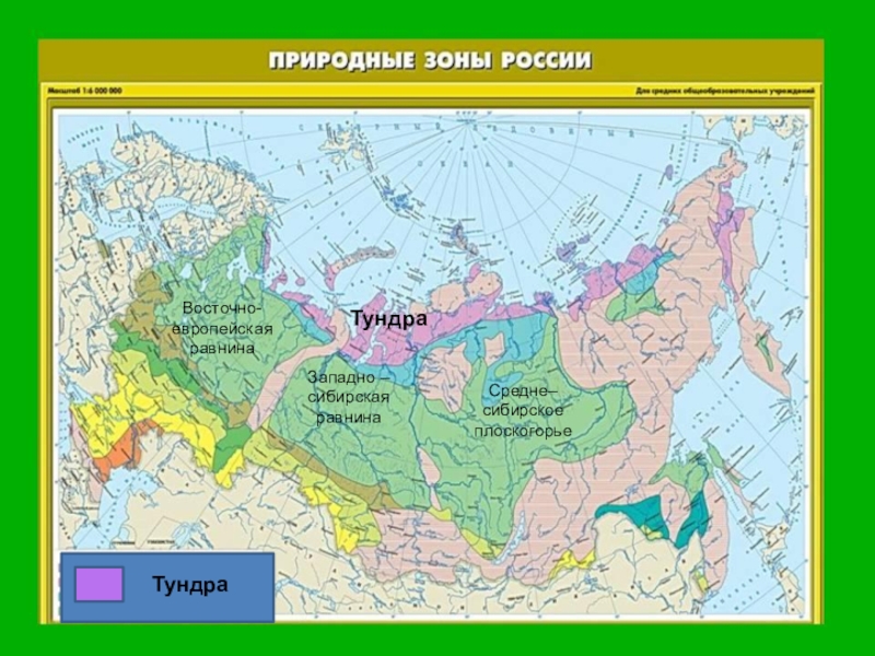 Презентация на тему по югу россии 4 класс