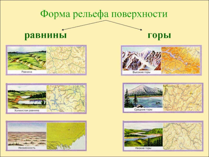 Рельеф картинки для презентации