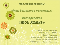 Проектная работа по теме Мои домашние питомцы. Хомячок Хомка.