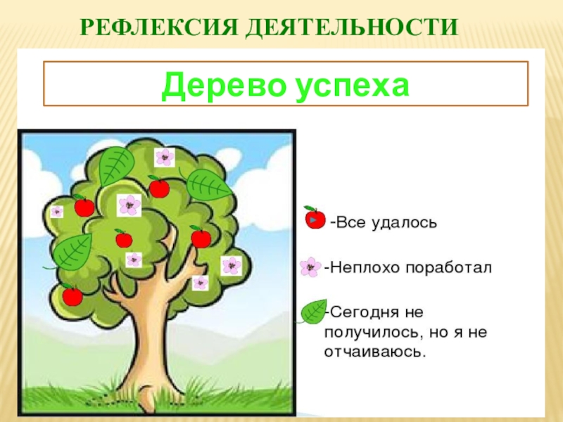 Дерево для рефлексии картинка