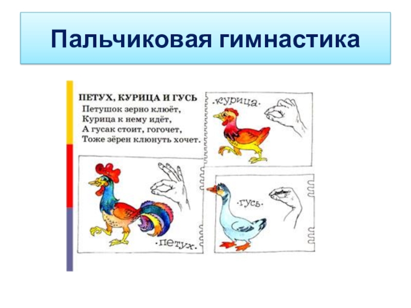 Составить схему предложения петух клюет бобовое зернышко