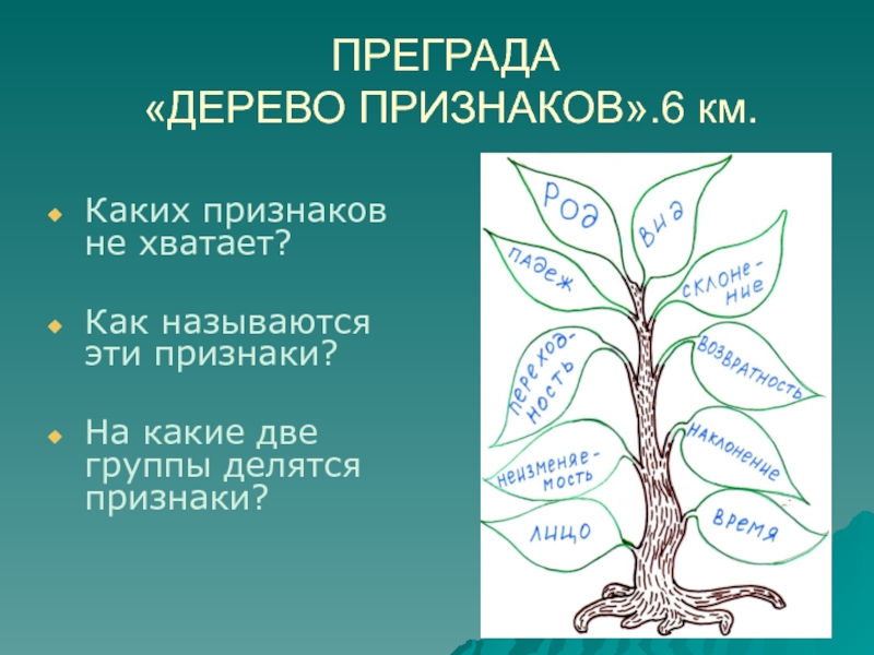 Деревья морфологический. Признаки дерева. Морфологические признаки деревьев. Морфологические особенности деревьев. Морфологическое дерево.