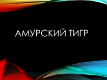 Презентация к уроку окружающего мира: Амурский тигр.