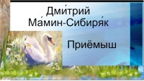 Презентация к уроку литературного чтения по произведению Д.Мамина-Сибиряка Приёмыш