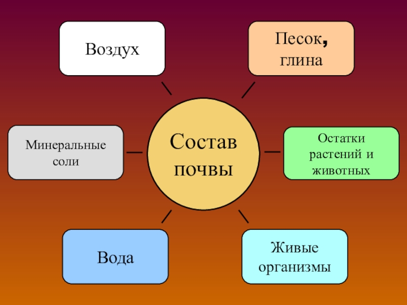 Схема состав почвы 5 класс