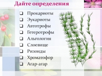 Презентация по биологии Высшие растения