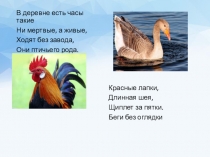 Презентация к уроку биологии в 7 классе на тему Внешнее строение и опорно-двигательная система класса Птиц