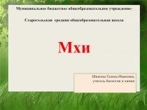 Презентация по биологии на темуМхи