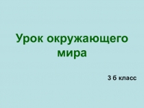 Презентация по ООМ на тему