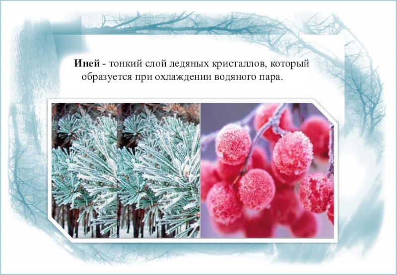 Что делает иней. Иней для презентации. Иней тонкий слой ледяных кристаллов образующийся. Кристаллы инея. Тонкий слой ледяных кристаллов.