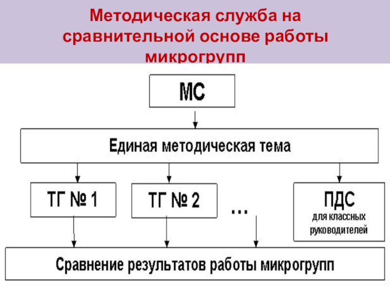 Основы сравнительной. Методическая служба на основе микрогрупп.