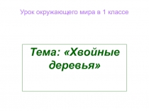 Презентация по окружающему миру на тему Хвойные деревья (1 класс)