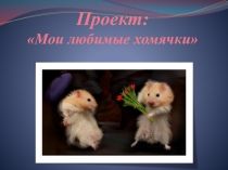 Проект на научно-практическую конференцию Мои любимые хомячки