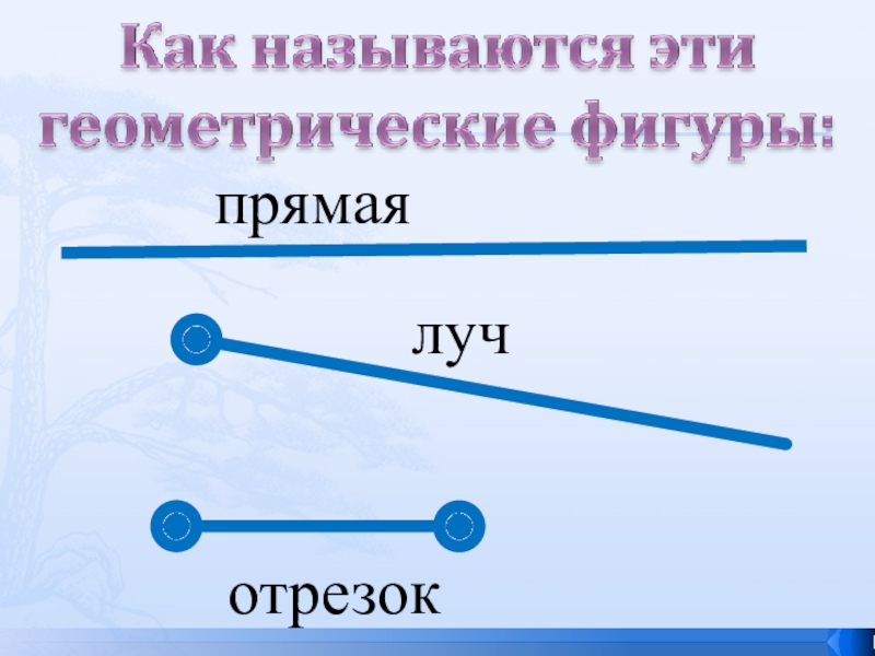 Прямая луч отрезок 5 класс