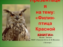 Презентация по окружающему миру Красная книга.Филин (2 класс) (Мазник Дмитрий)