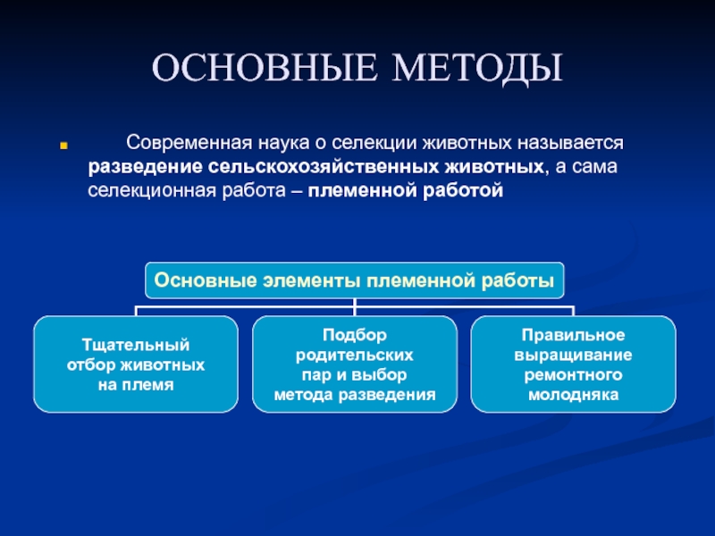 Презентация по теме селекция 10 класс