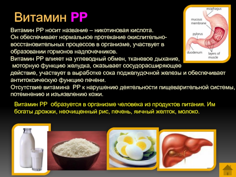 Процессов в организме участвует. Витамин рр роль в организме. Никотиновая кислота витамин рр. Функции никотиновой кислоты в организме человека. Витамин рр участвует в осуществлении реакций.