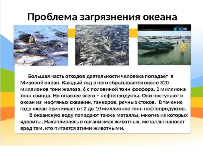 Проект проблема загрязнения воды