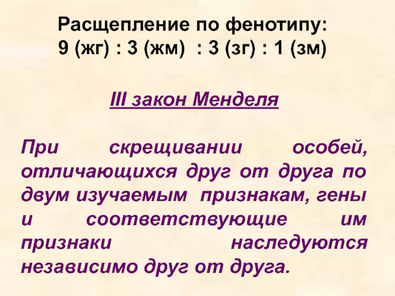 закон единообразия 1 закон менделя. 3 закон менделя соотношение генотипов. независимое наследование признаков (iii закон менделя),. 3 закон менделя по фенотипу. 3 закон менделя по генотипу.