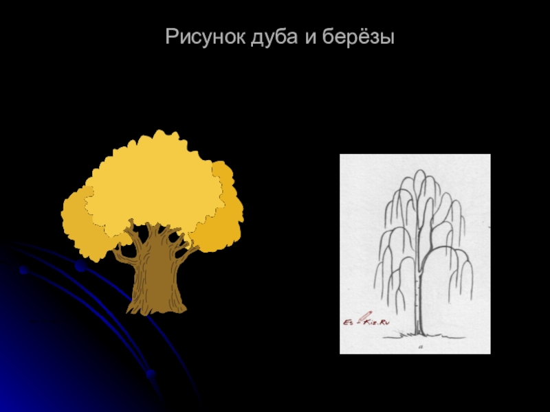 Характер линий изо 2 класс рисунки