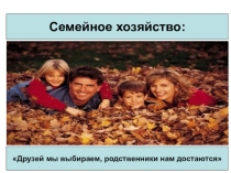 Семейное хозяйство