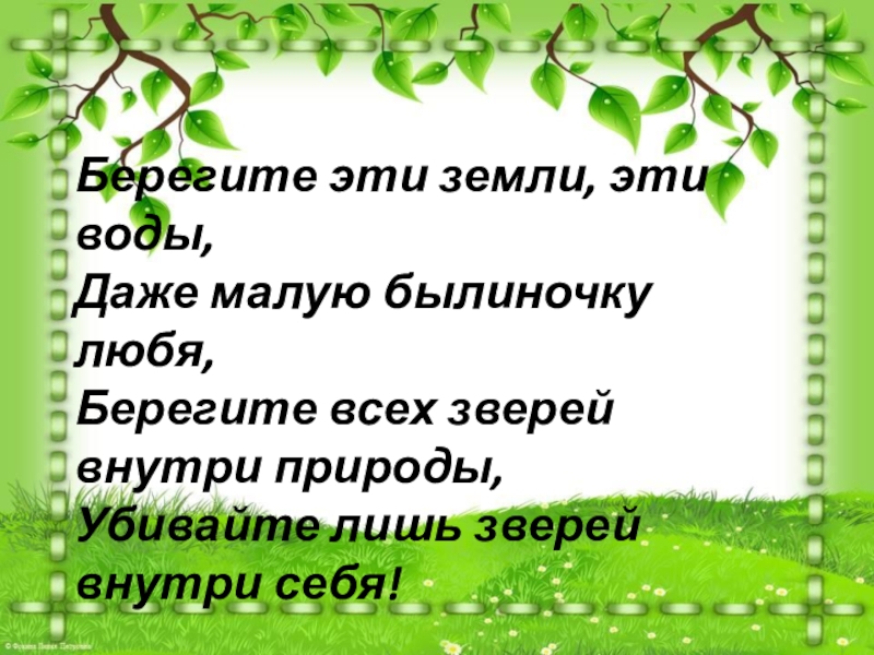 Беречь век. Берегите эти земли эти воды даже малую былиночку любя. Берегите эту землю. И даже малую былиночку любя. Берегите эти земли эти воды даже малую былиночку любя Главная мысль.