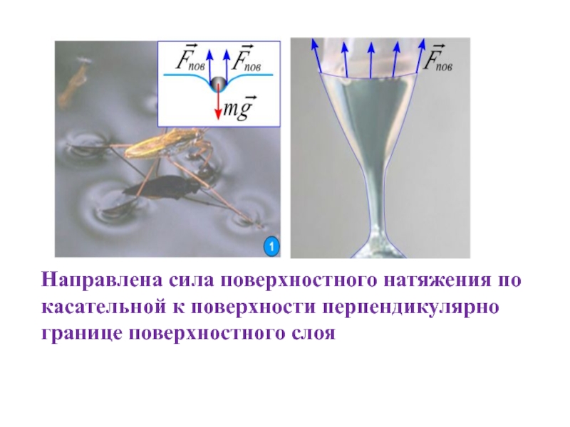 Поверхностное натяжение физика 10 класс презентация - 94 фото