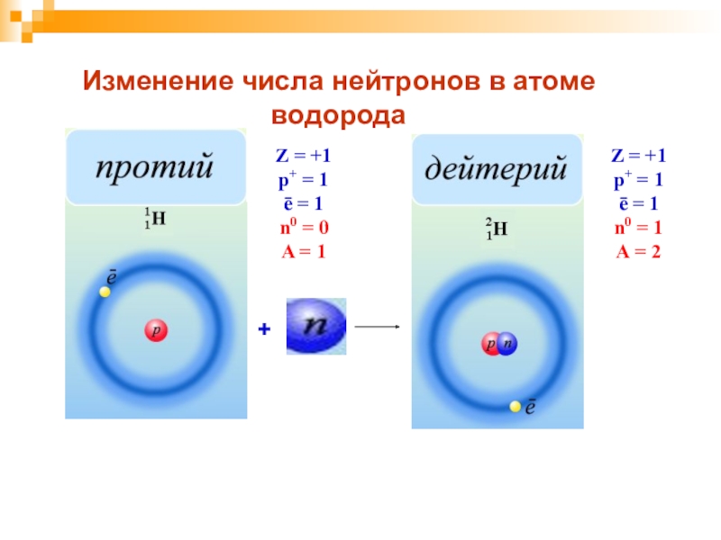 Изотоп z. Атом Протон нейтрон электрон. Изотопы водорода 8 класс. Строение атома водорода 8 класс. Число нейтронов в атоме водорода.