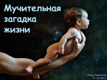 Презентация по биологии Гипотезы происхождения жизни на планете Земля 9-11 класс