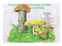 ПРЕЗЕНТАЦИЯ Биологии на тему ГРИБЫ (6 класс)