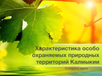 Презентация по географии на тему  Характеристика особо охраняемых природных территорий Республики Калмыкия  (8 класс)